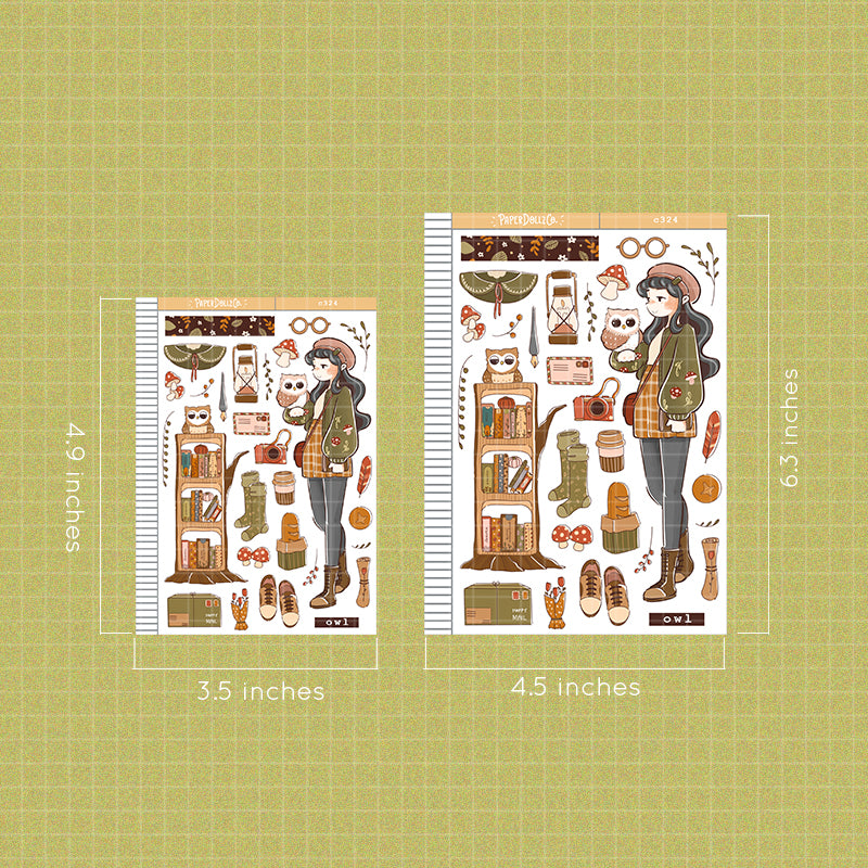 Owl | Birds of Autumn | Collection Stickers | C324