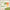Seasonal Lite | Cousin | Dear Dolly Snail Mail Subscription