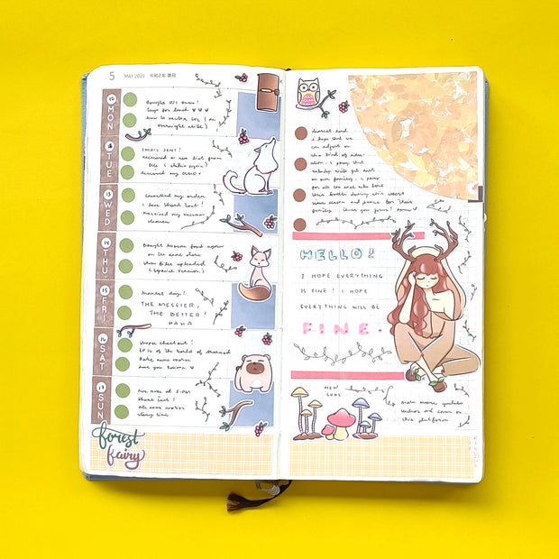 Hobonichi Kit for Hobonichi Weeks | hw018 | c063