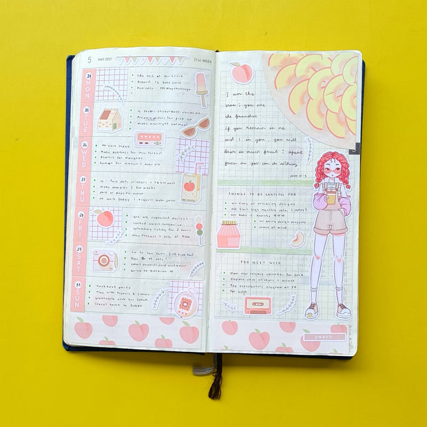 Hobonichi Kit for Hobonichi Weeks | hw070 | c202