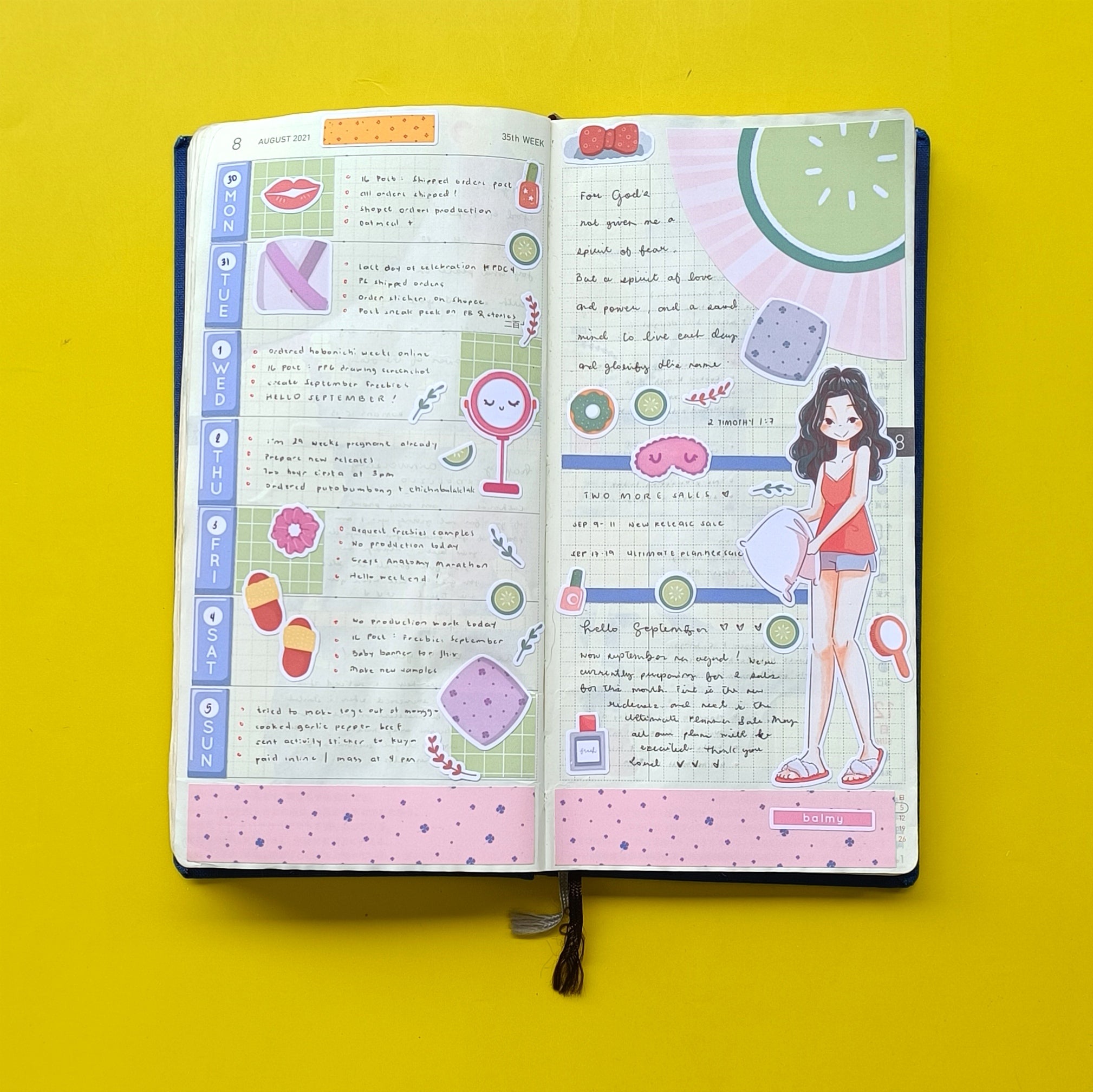 Hobonichi Kit for Hobonichi Weeks | hw084 | c217