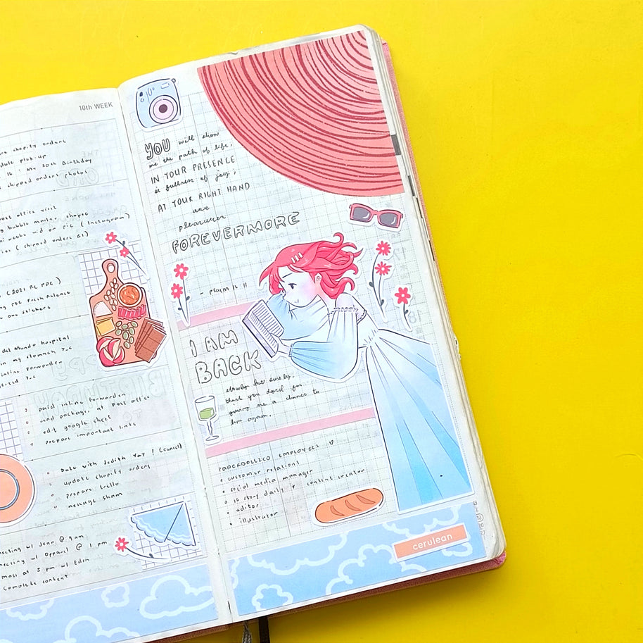 Hobonichi Kit for Hobonichi Weeks | hw107 | c243