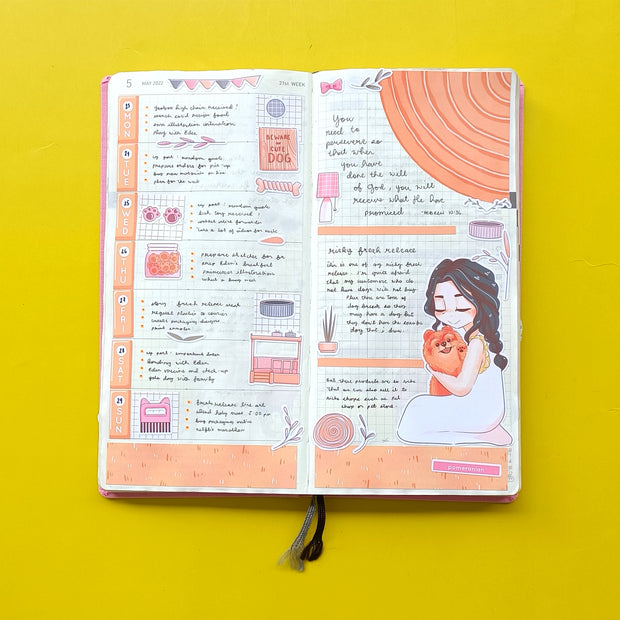 Hobonichi Kit for Hobonichi Weeks | hw125 | c264