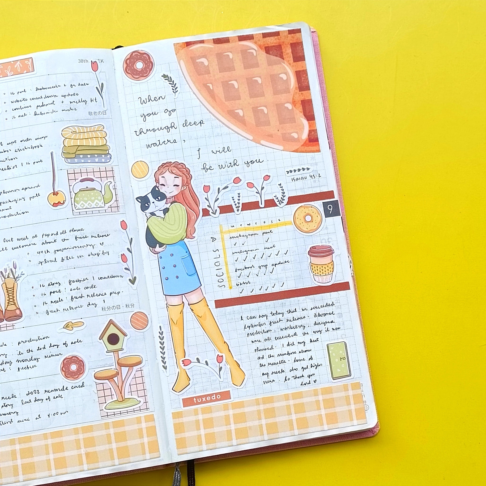 Hobonichi Kit for Hobonichi Weeks | hw135 | c274