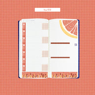 Hobonichi Kit for Hobonichi Weeks | hw159 | c298